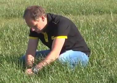 Video: Blühendes Gras sinkt nach ca. 10 Tagen auf 150 MJ NEL