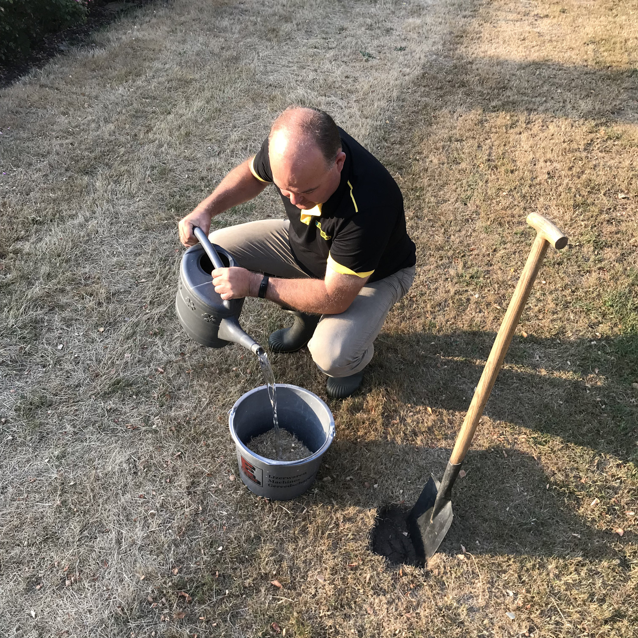 Erste Hilfe bei ausgetrockneten Pferdeweiden