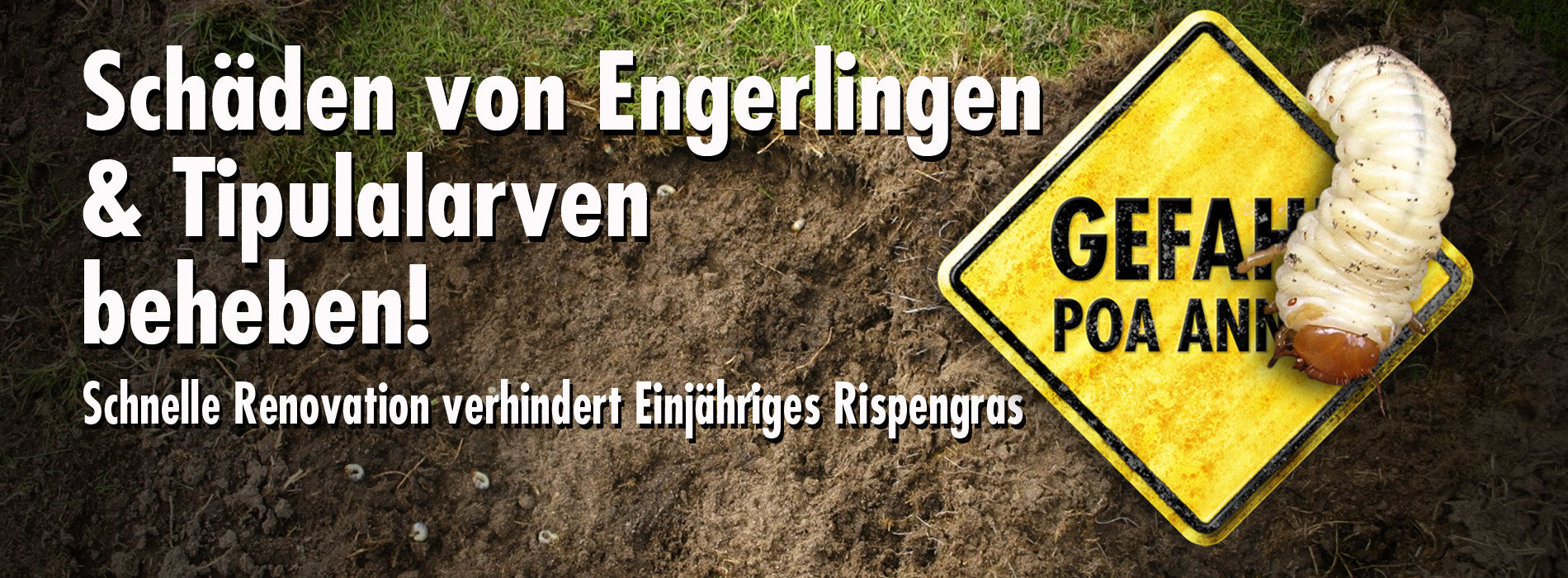 Schäden von Engerlingen & Tipulalarven beheben!