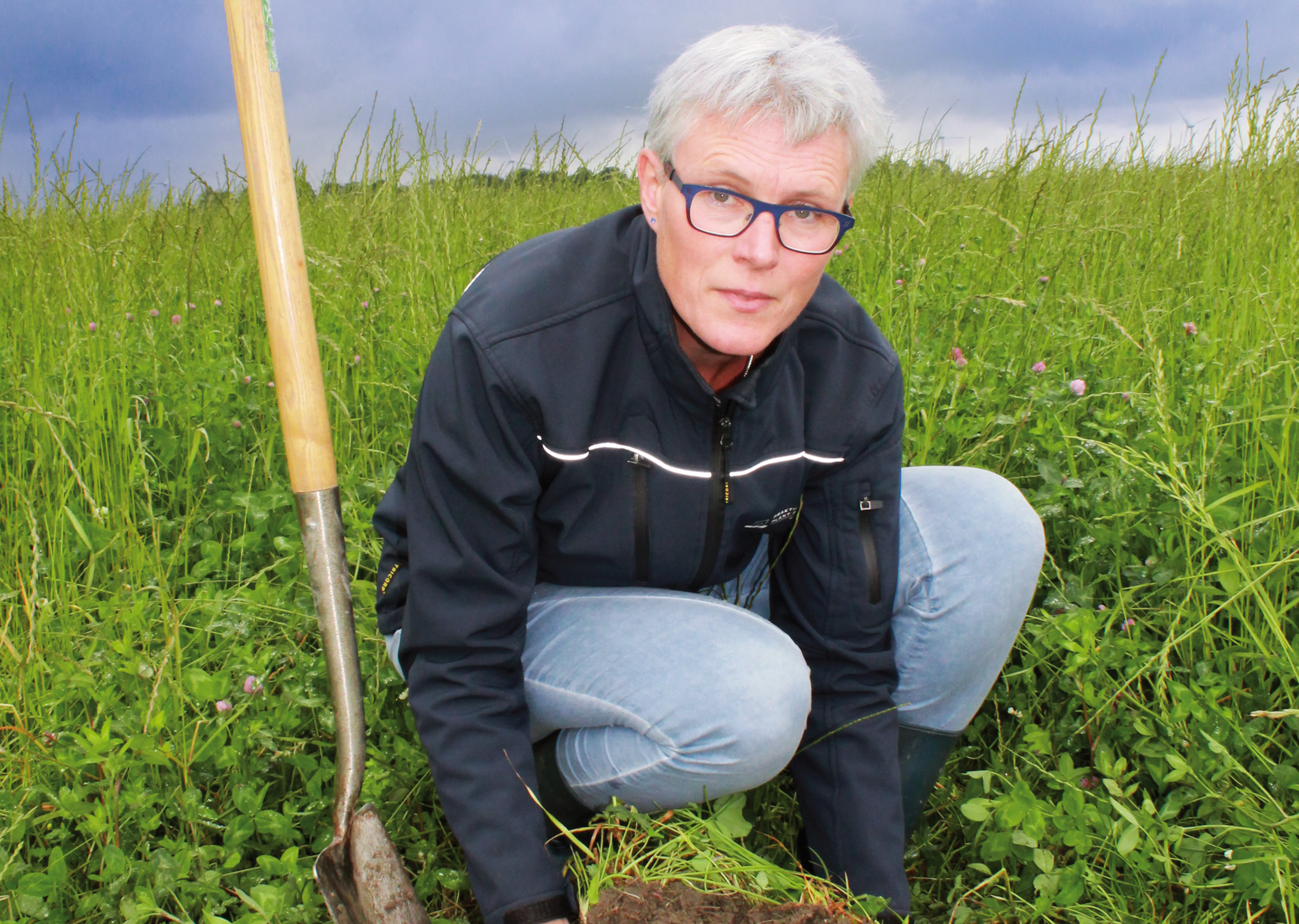 Phosphat besser verfügbar mit Kleegras