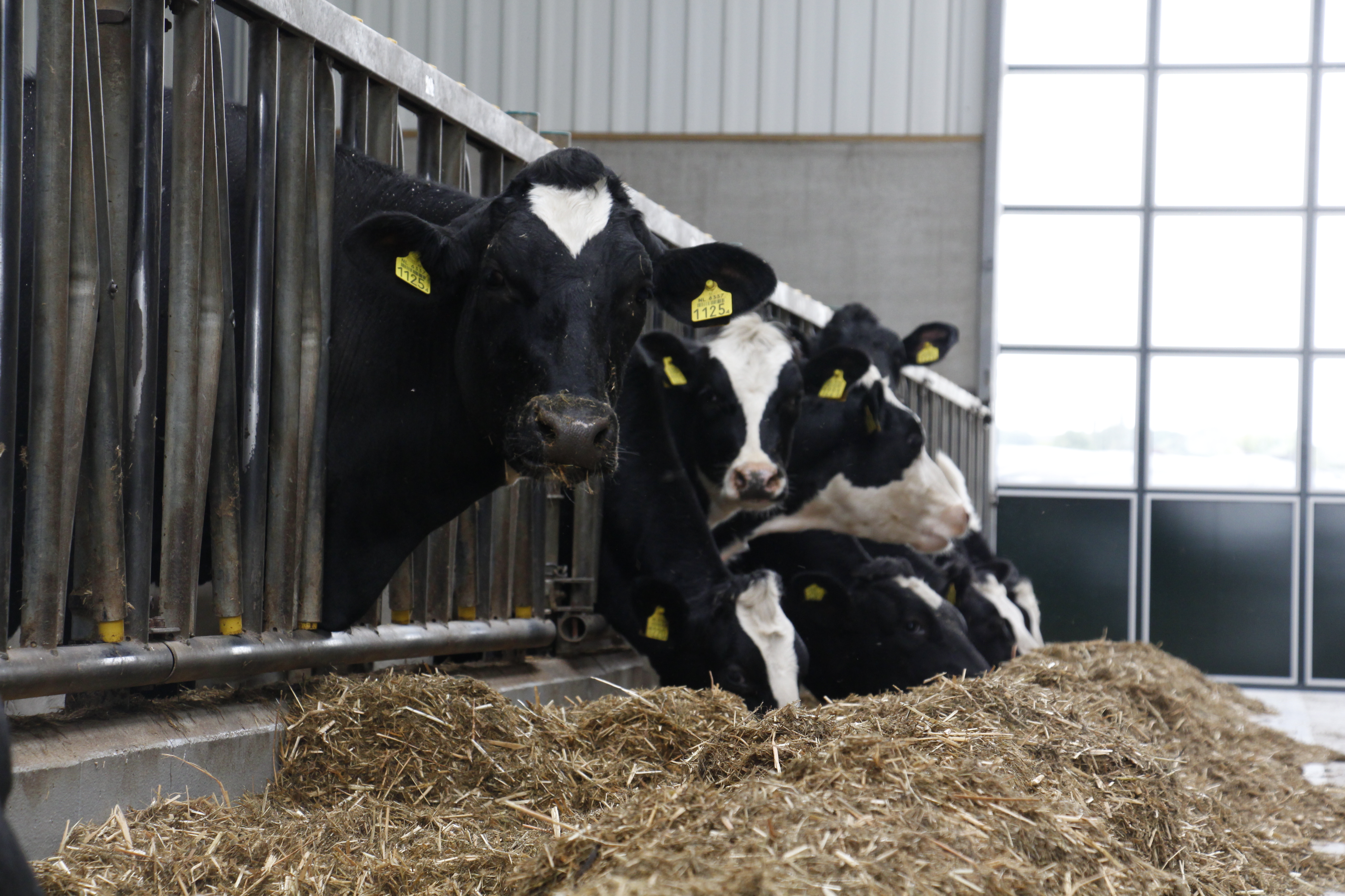 Europäische Futterhändler-Veranstaltung 2017 „The Future of Grass" war ein voller Erfolg