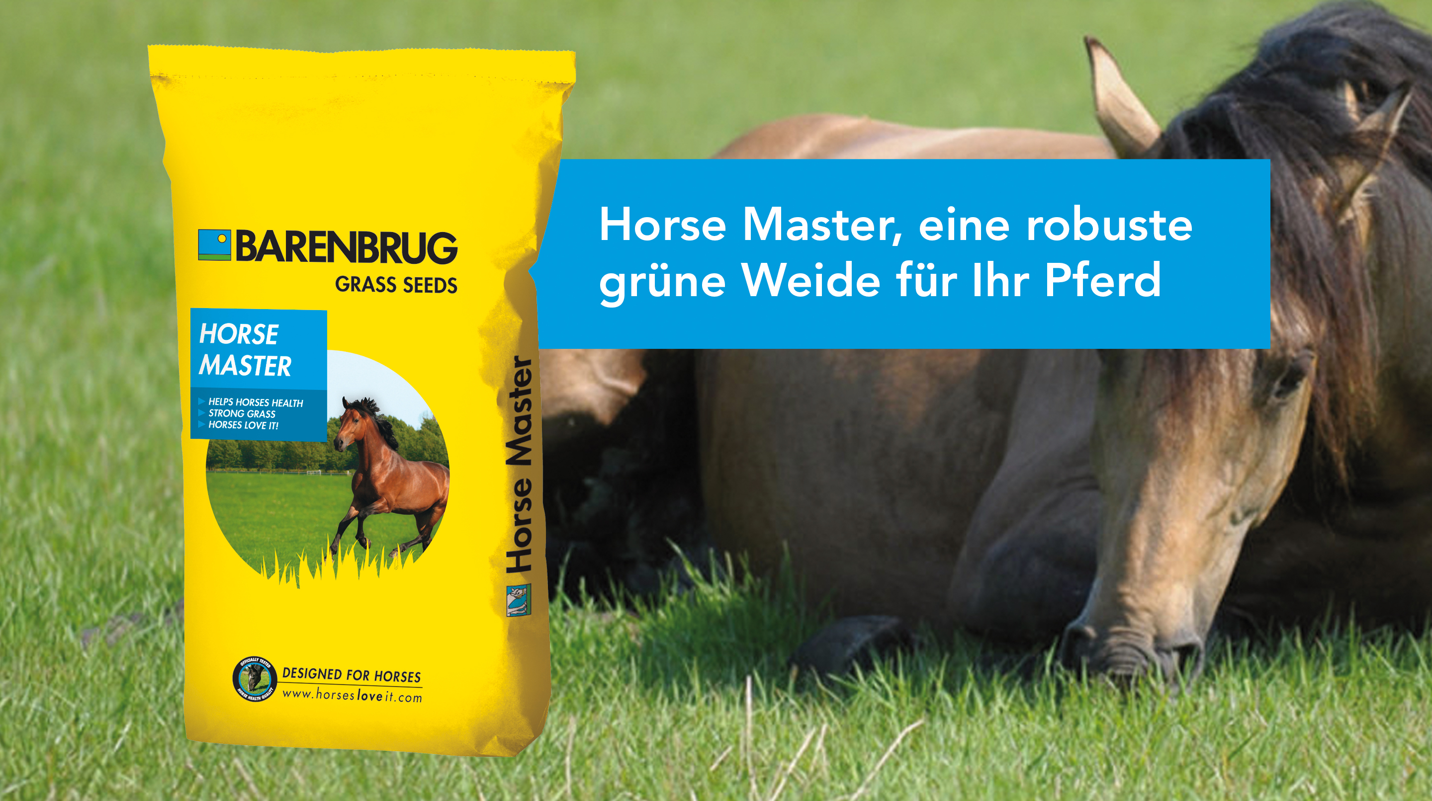 Link-item_HorseMaster_DE!
						