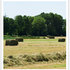 Gras für Heu und Silage: Hay Master Gras für Heu und Silage: Hay Master