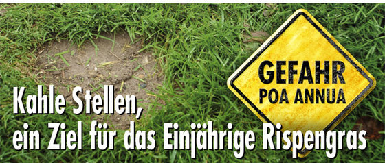 Kahle-Stellen-ein-Ziel-für-das-Einjährige-Rispengras-DE