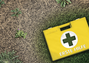 Erste Hilfe bei Unkraut