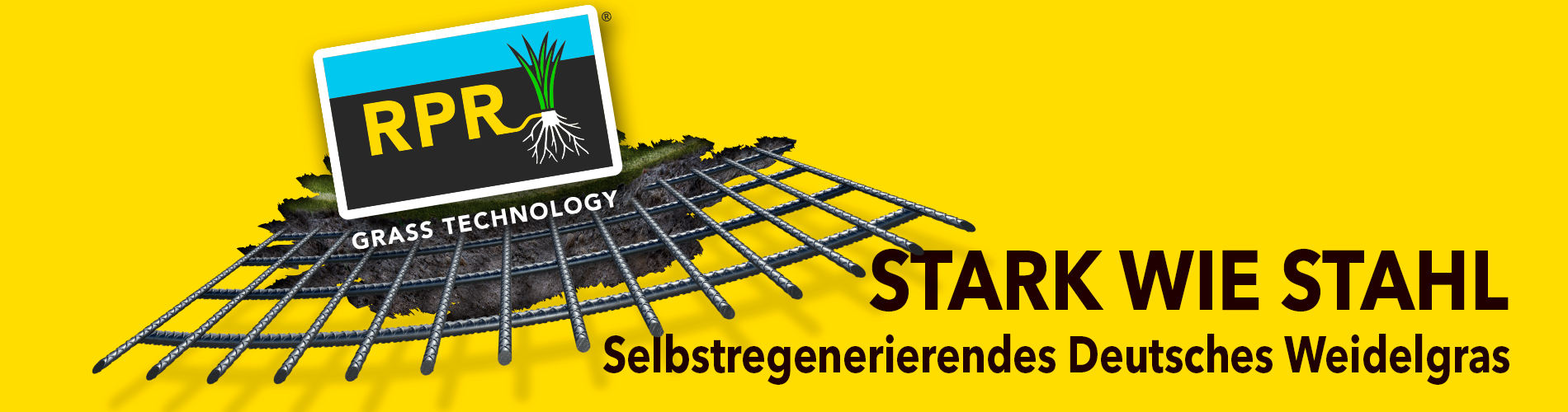 RPR - Selbstregenerierendes Deutsches Weidelgras HEADER_RPR-DE-1900x700-2024!