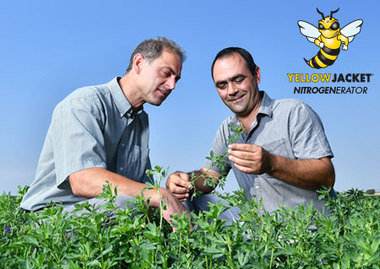 OL_Barenbrug_YellowJacket-edit_03!
						