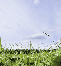 In der zweiten Saisonhälfte holt der Klee auf