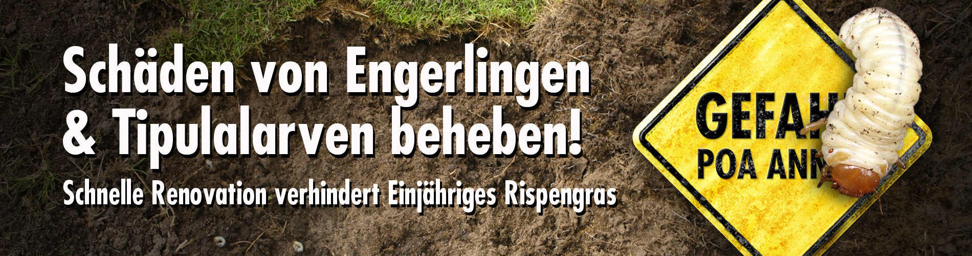 Schäden von Engerlingen & Tipulalarven beheben!