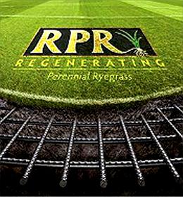 Confederations Cup in Brasilien auf RPR!