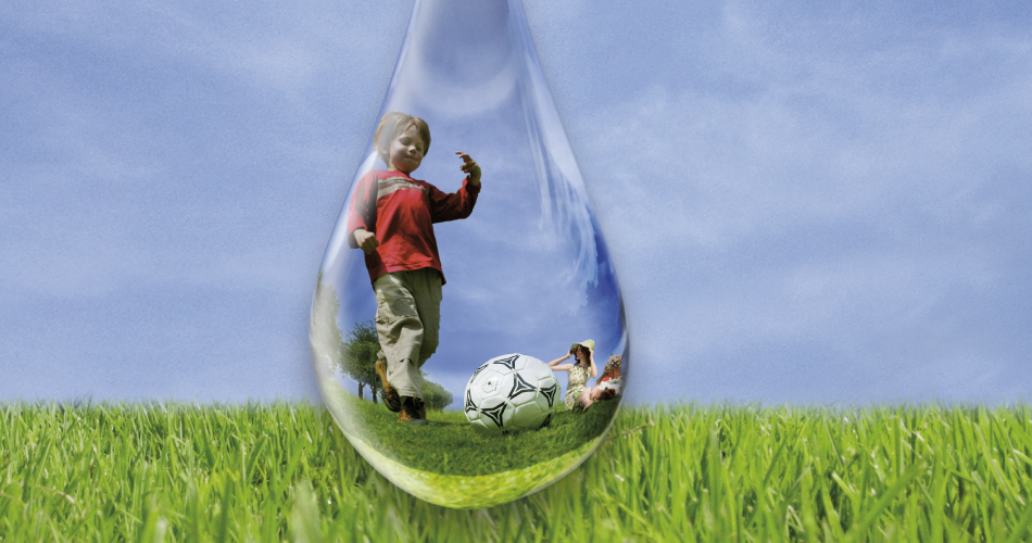 Rohrschwingel verträgt Trockenheit und Hitze problemlos