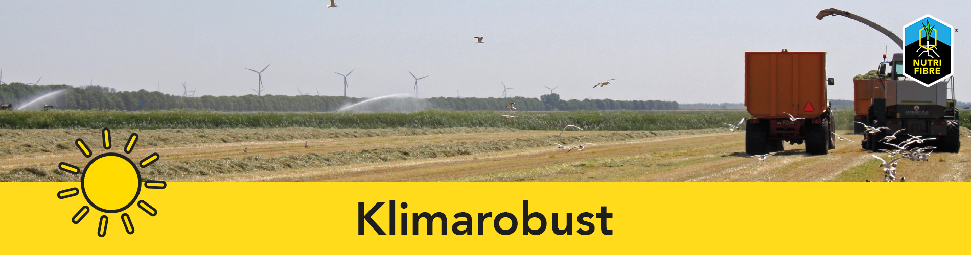 banner_climate_resistant_de-edit!
						