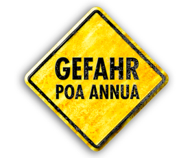 Poa-Annua-DE Poa-Annua-DE
