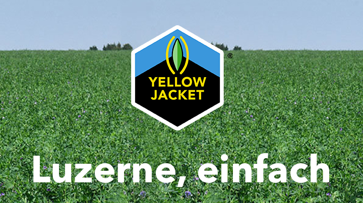 luzerne_einfach-edit_02!
						