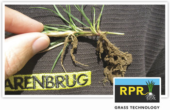 RPR