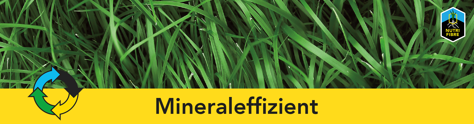 banner_mineral_efficient_de-edit!
						