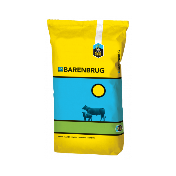 Packshot_BeefMaster_2023