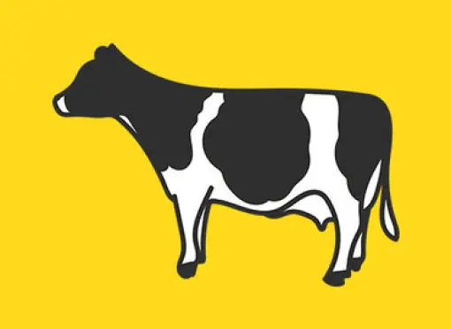NF_healthy_cows_banner-edit