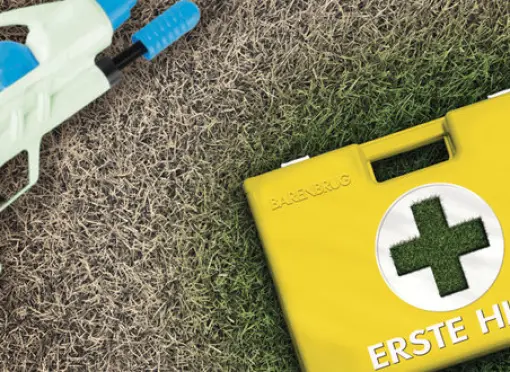 Behebung von Trockenschanen auf Rasenflachen