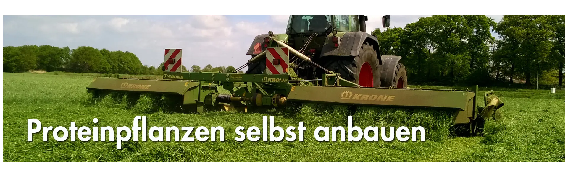 Proteinpflanzen selbst anbauen