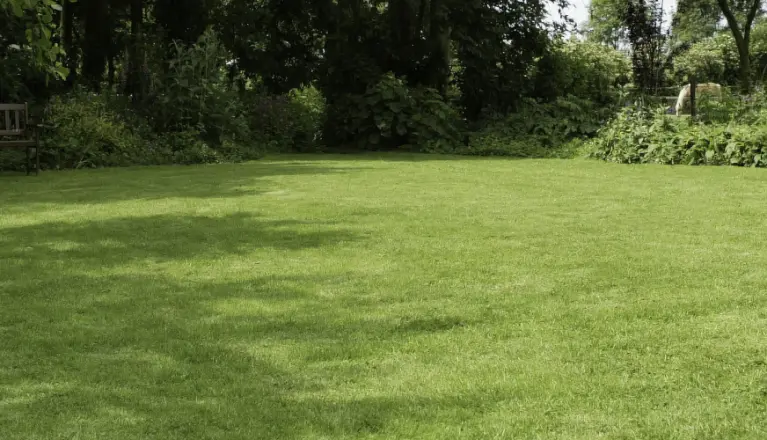 Rasen und öffentliches Grün