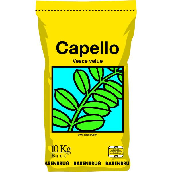 Capello - Winter vetch