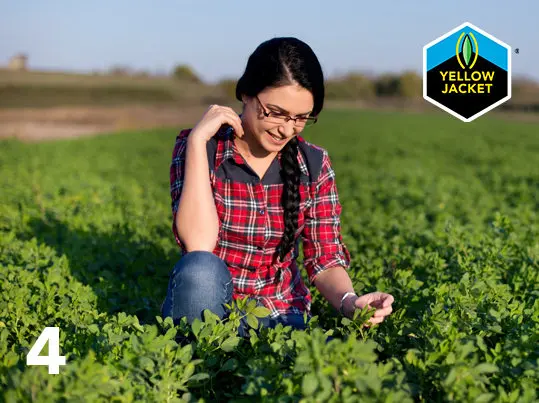 Lucerne_YellowJacket_Nitrogenerator_04-edit_02