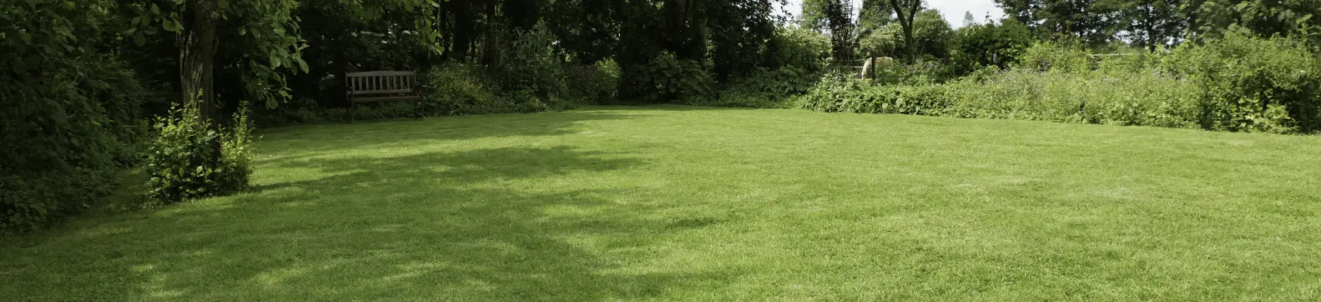 Rasen und öffentliches Grün