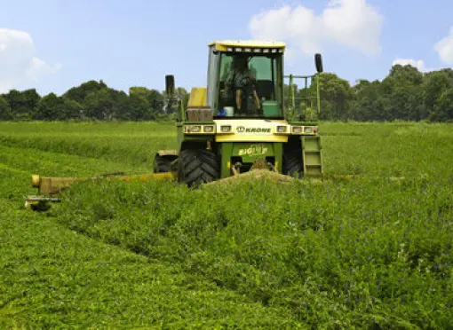 VL_Lucerne_YellowJacket_Nitrogenerator