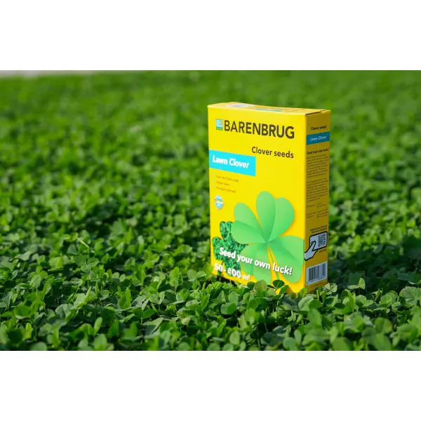 Lawn Clover 6