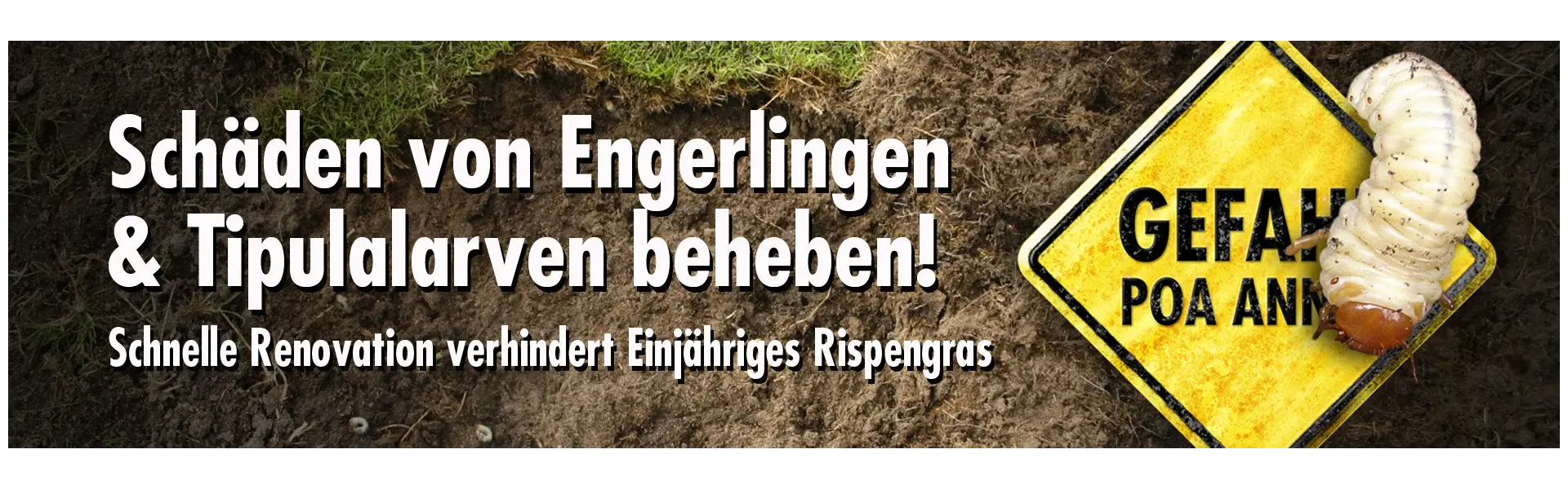Schäden von Engerlingen und Tipulalarven mit RPR & SOS beheben