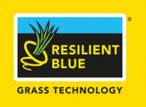 logo-resilient-blue-hr-2024-yellow(1)