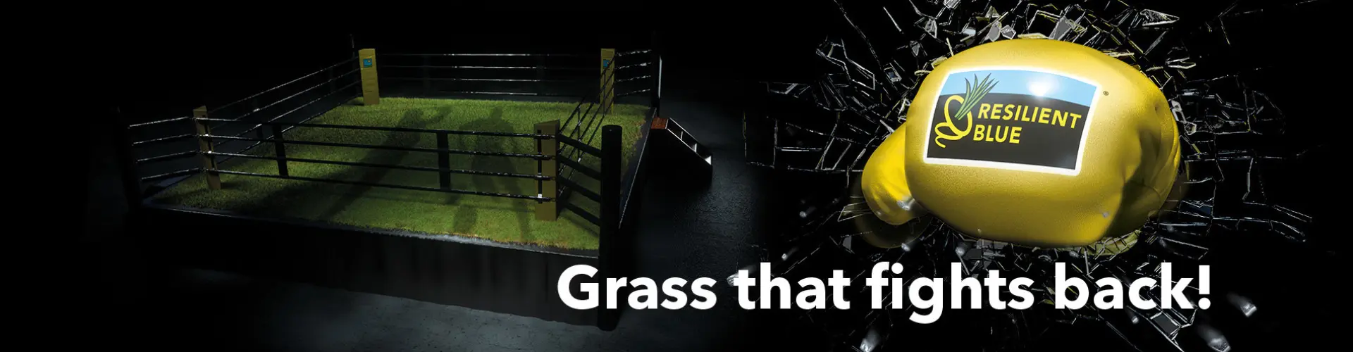 HEADER-Turf-ResilientBlue-500p-2024