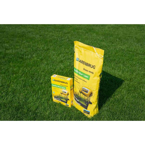 Resilient Blue Lawn 5