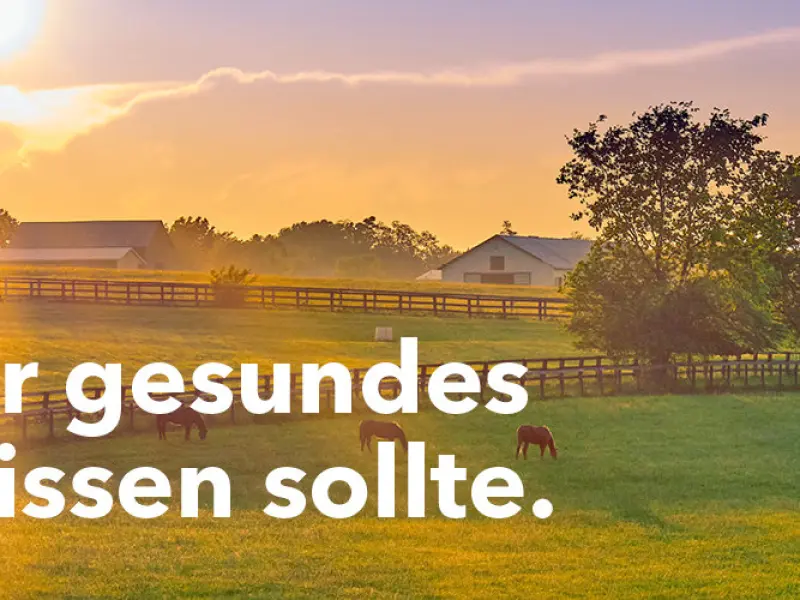 Header_HorseMaster_De