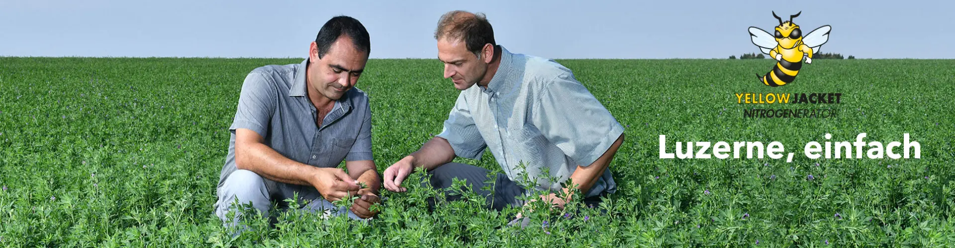 Dormanzklassifizierung in Europa