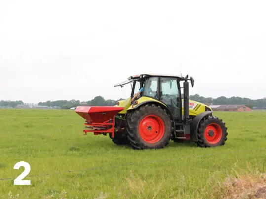 teff-2