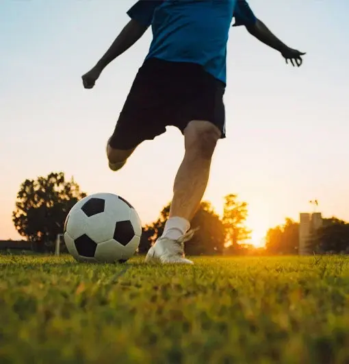 category-tile-2-510x531