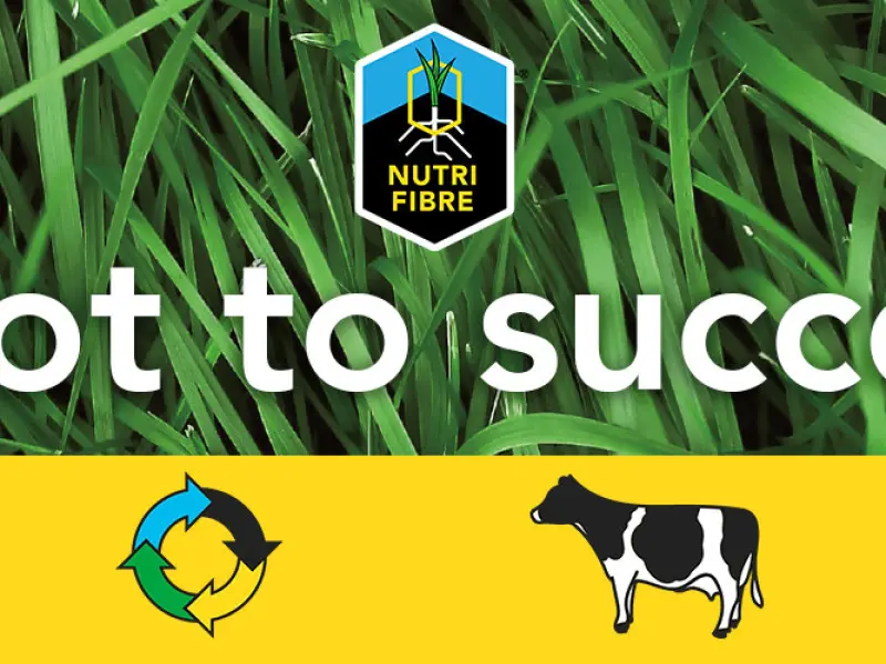 banner_nutrifibre-edit