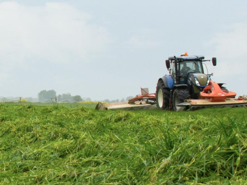 NutriFibre-Vital_header