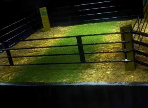 image-rb-recover-visual