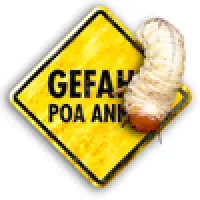 Schäden von Engerlingen und Tipulalarven mit RPR & SOS beheben