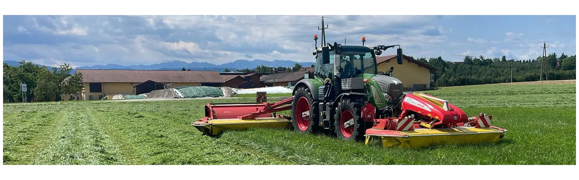 Grünland mit Tiefgang: Warum ein österreichischer Milchbauer auf GreenStar Struktur II mit NutriFibre setzt