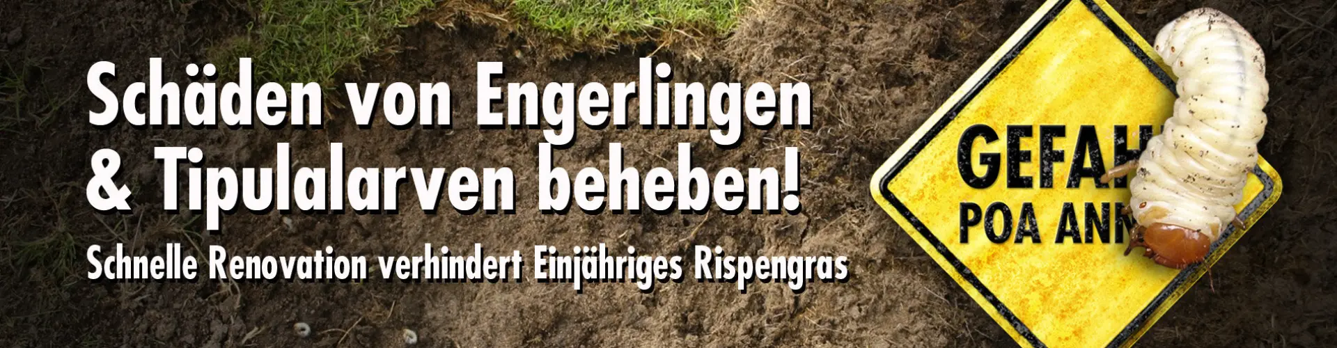 HEADER_Engerlingen_500