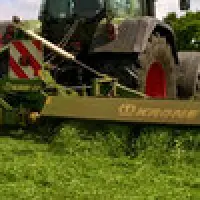 Proteinpflanzen selbst anbauen