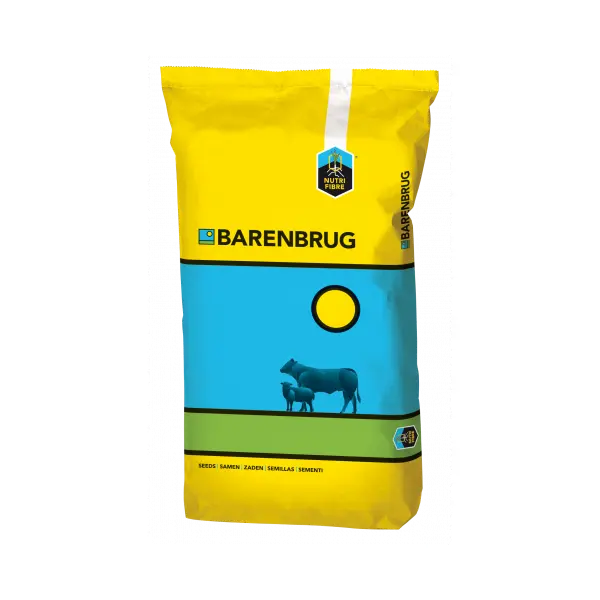Packshot_BeefMaster_2023