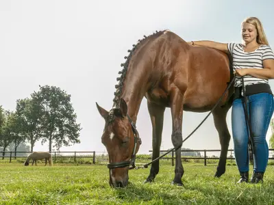 Horse-Master_header
