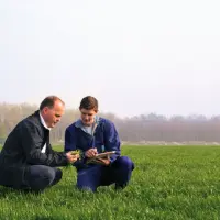 Ein höherer Ertrag beginnt mit einer Bestandsbeurteilung