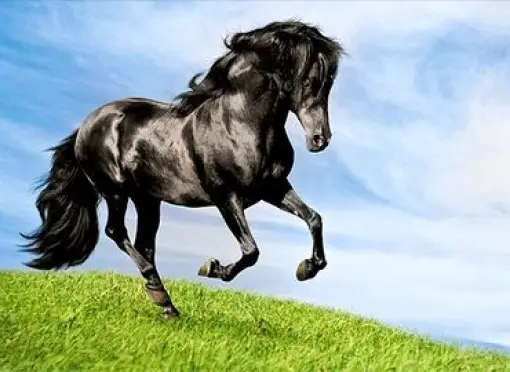 iStock_000011142614XLarge-CMYK