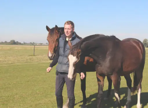 paardvskoe_thumbnail